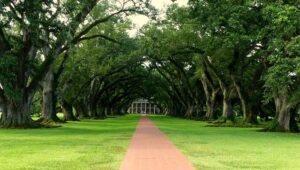 Louisiana Sports Betting Tax Increase Could Help Fund College Athletic Departments – Casino.org