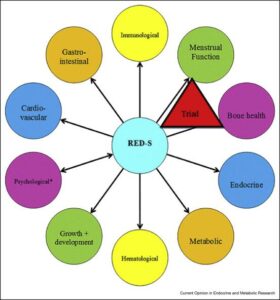 2018 UPDATE: Relative Energy Deficiency in Sport (RED-S) – BMJ Blogs