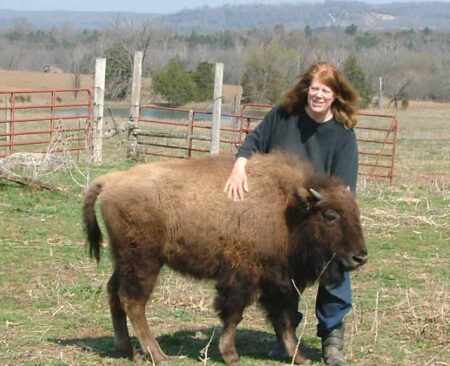 Ex-China athlete raises buffalo in China rental home, keeps it secret from landlord – South China Morning Post