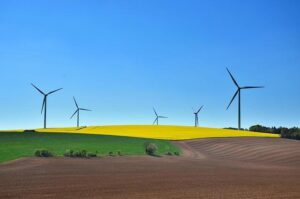 Can sport empower us to be more sustainable? – The World Economic Forum