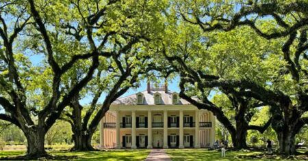 Louisiana Hikes Sports Gambling Tax to Supercharge College Athletics Funding