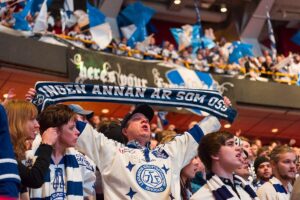 The Surprising Ways Being a Sports Fan Affects Your Mental Health-and How to Stay Balanced