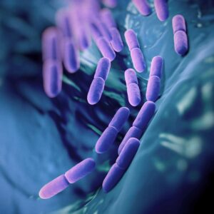 Can Probiotics Boost Your Athletic Performance? The Science Behind the Hype
