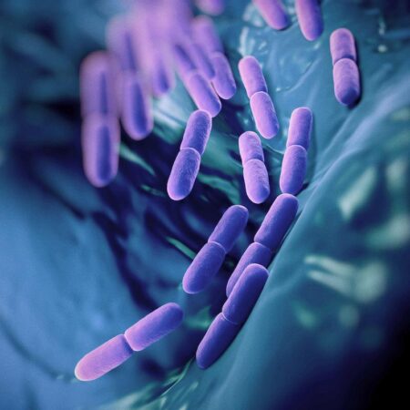 Can Probiotics Boost Your Athletic Performance? The Science Behind the Hype