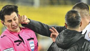 NoRefNoGame: Exposing the Hidden Mental Health Crisis Behind Referee Abuse in Sports