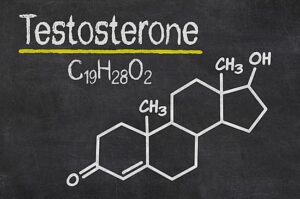 Balancing Fairness and Inclusion: Exploring Testosterone’s Role in Transgender Athletic Performance