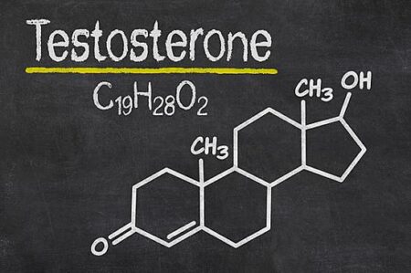 Balancing Fairness and Inclusion: Exploring Testosterone’s Role in Transgender Athletic Performance