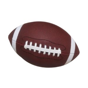 Explore the Top 10 Most Popular Sports Around the Globe: Football, Cricket, Tennis, Rugby & More!