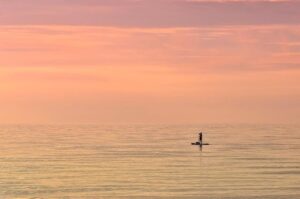 Uncover the Top 55 Thrilling Sports Trends This November