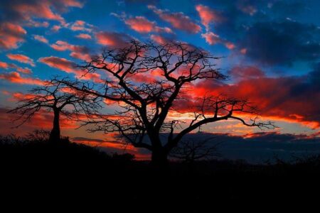 Live Updates: Thrilling Showdown Between Angola and Argentina in International Friendly Live Updates: Thrilling Showdown Between Angola and Argentina in International Friendly