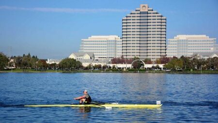 Thrilling Moments Lighting Up the Bay Area Sports Scene Thrilling Moments Lighting Up the Bay Area Sports Scene