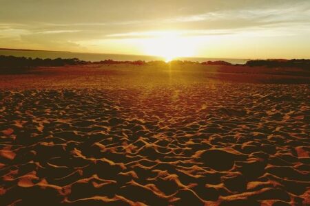 Sun Devils Ignite: Unleashing the Full Power of Sun Devil Athletics