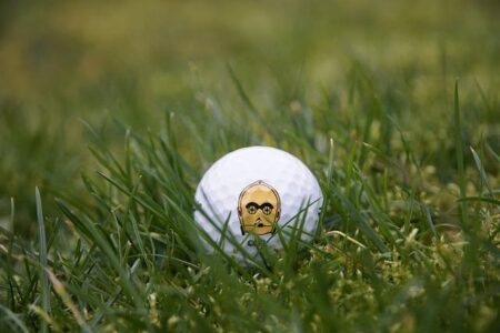 Sports Stars Raise Urgent Alarm as Playing Fields Disappear Amid Reforms Sports Stars Raise Urgent Alarm as Playing Fields Disappear Amid Reforms