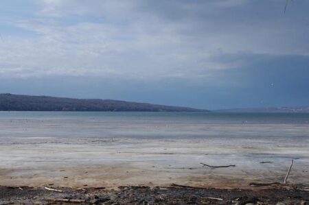 Live Blog: Ithaca Athletics Reveals Thrilling Updates at 2015 Cortaca Press Conference