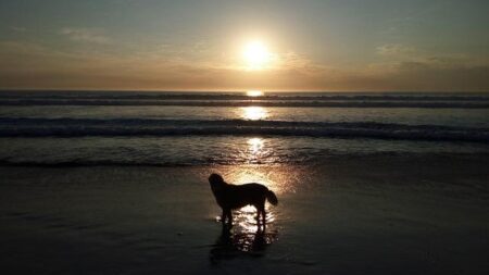 Eamon Harvey to be inducted into Donegal Sports Star Awards Hall of Fame – Donegal Live