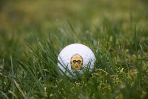 Stunning Sports Star Goes Unrecognizable in Throwback Photo Reviving 2016 Viral Trend