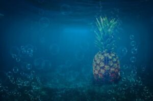 Bob Stoops and Brent Venables Share Their Insights on the Sooners’ New Athletic Director Roger Denny