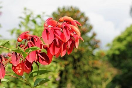 Christa Makes History as Veteran Sportsperson of the Year for an Unprecedented Second Time! Christa Makes History as Veteran Sportsperson of the Year for an Unprecedented Second Time!