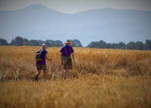 The Powerful Impact of Sports on Shaping Global Relations