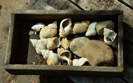 Athletics Integrity Unit’s Mishandling of Adaejah Hodge Suspension Raises Serious Questions About Sprinter’s Future Athletics Integrity Unit’s Mishandling of Adaejah Hodge Suspension Raises Serious Questions About Sprinter’s Future