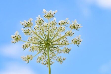 Shelly-Ann Fraser-Pryce Shares Her Secrets to Going All Out on Sports Day