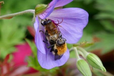 SCORE Act Advances in Committee, Paving the Way for Major College Sports Reform