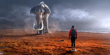 Inside Utah Mammoth Exit Interviews: Live Updates, Revealing Quotes, and Exclusive Insights