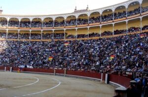 Explore the 22 Most Popular Sports Taking the World by Storm in 2024