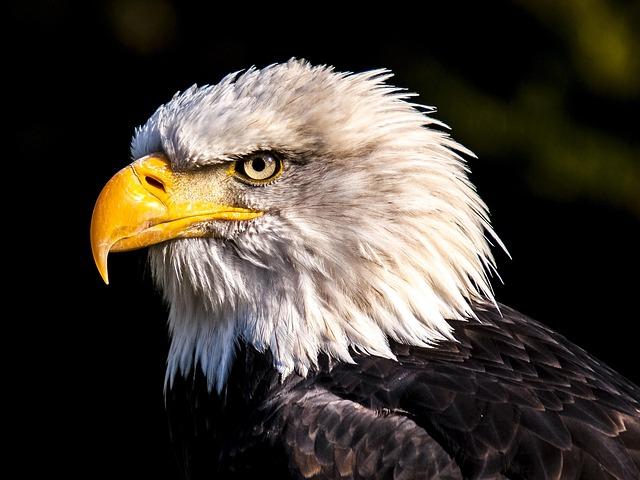 Zuhlke Takes the Helm as Eagles’ New Director of Athletic Performance