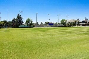 344 Tribe Student-Athletes Shine on CAA Commissioner’s Academic Honor Roll