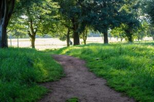 How Parkrun’s 13 became five million and changed weekends for ever – The Guardian